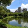Taipei_Daan_Park_-_Ecological_Pool_-_20180805_-_02
