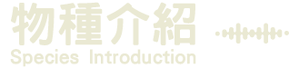物種介紹-5
