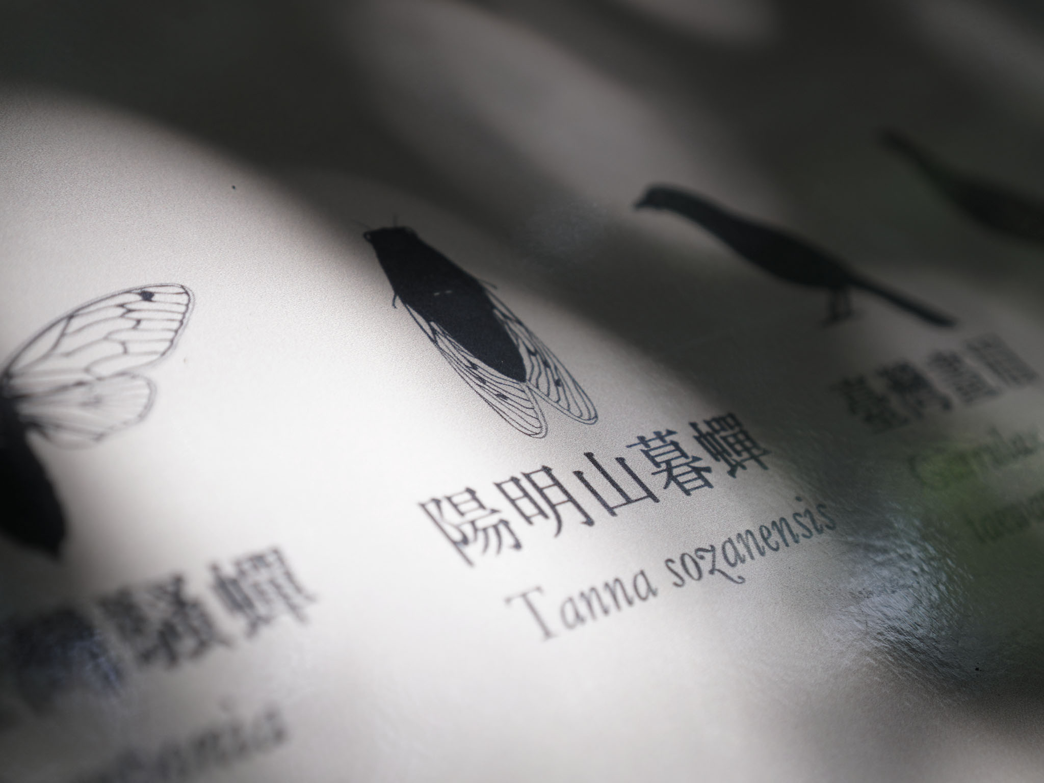 計畫介紹-陽明山(16)
